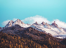 奇异果体育入口-FIFA盛典：莱万获世界足球先生 克洛普最佳教练